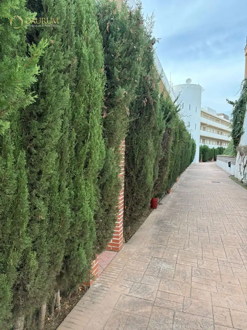 Vista exterior de Pis en venda en Rincón de la Victoria amb Terrassa, Piscina i Piscina comunitària
