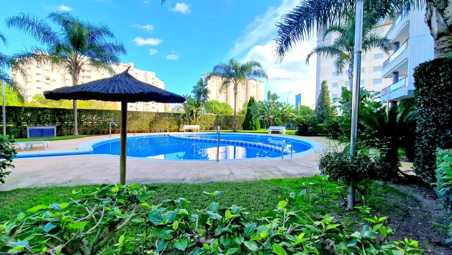 Apartamento de alquiler en calle del Maestrat, 11, Playa de Gandia