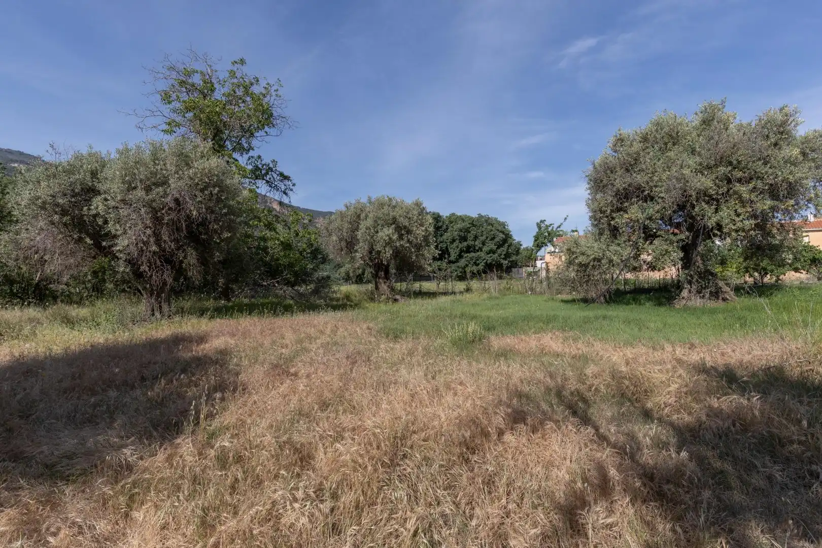 Lands and plots for sale in Carretera de Maitena, imagen 10