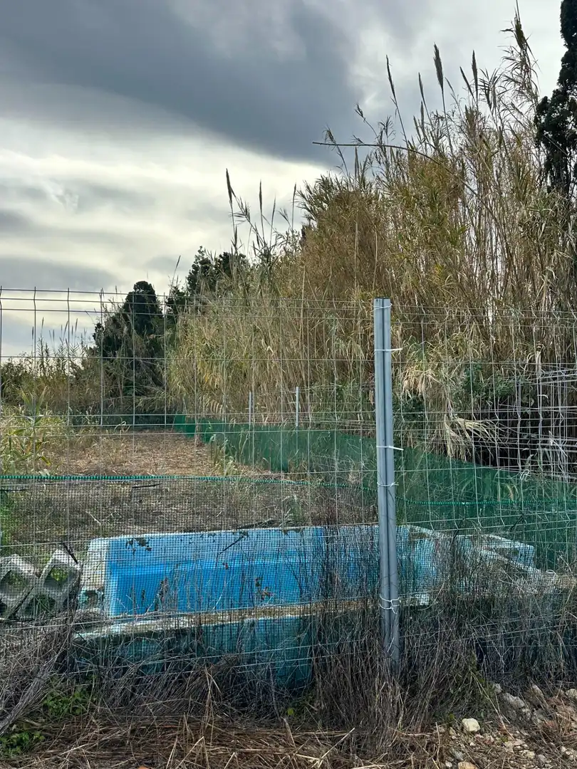 Rustikales Grundstück zum Verkauf in Oliva pueblo, imagen 2