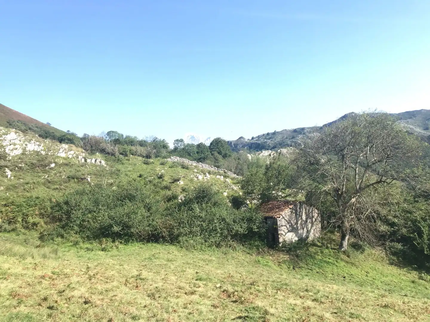 Terreno rustico in vendita a Cangas de Onís, imagen 2