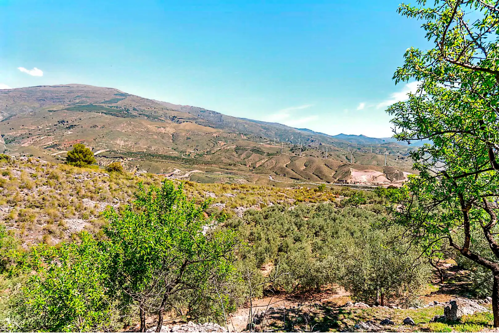 Terrain rustique à vendre à El Pinar, imagen 11
