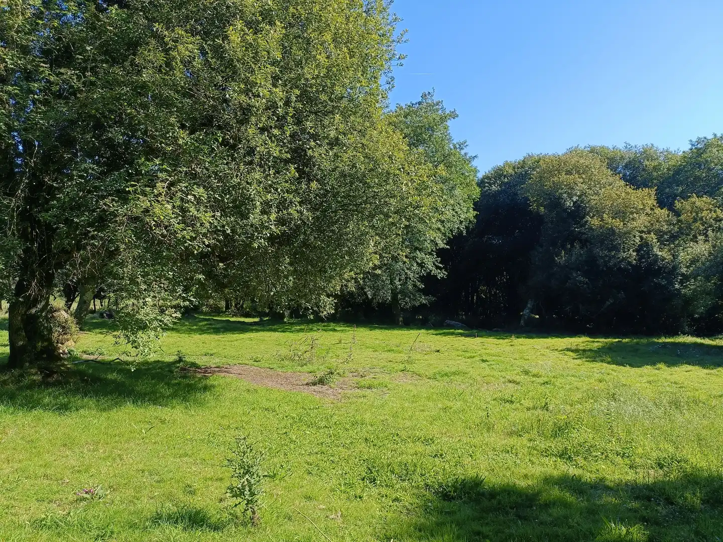 Casa o chalet en venta en Oza dos Ríos con Jardín privado y Trastero