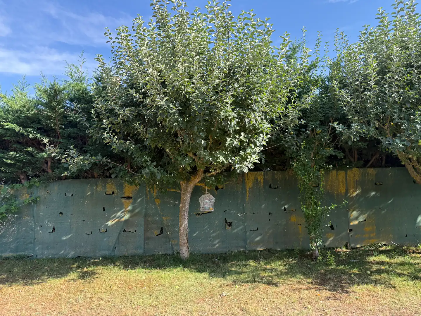 Jardín de Casa o chalet en venta en Carrión de los Condes con Aire acondicionado, Calefacción y Jardín privado