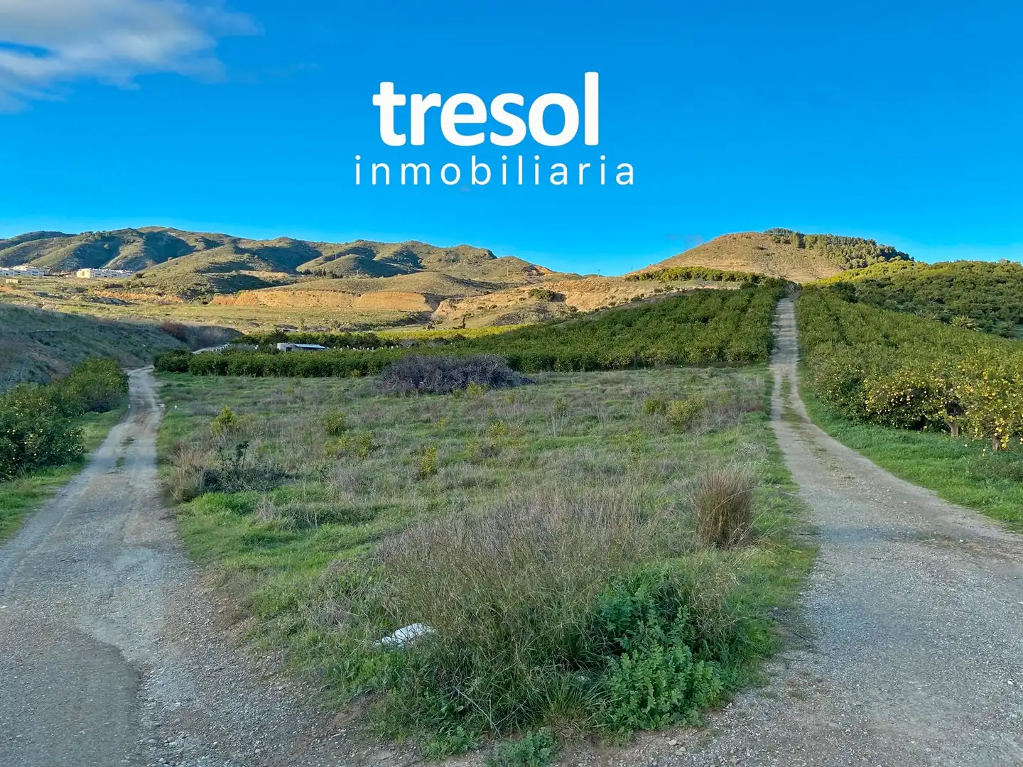 Terreno rustico in vendita a Centro, imagen 5