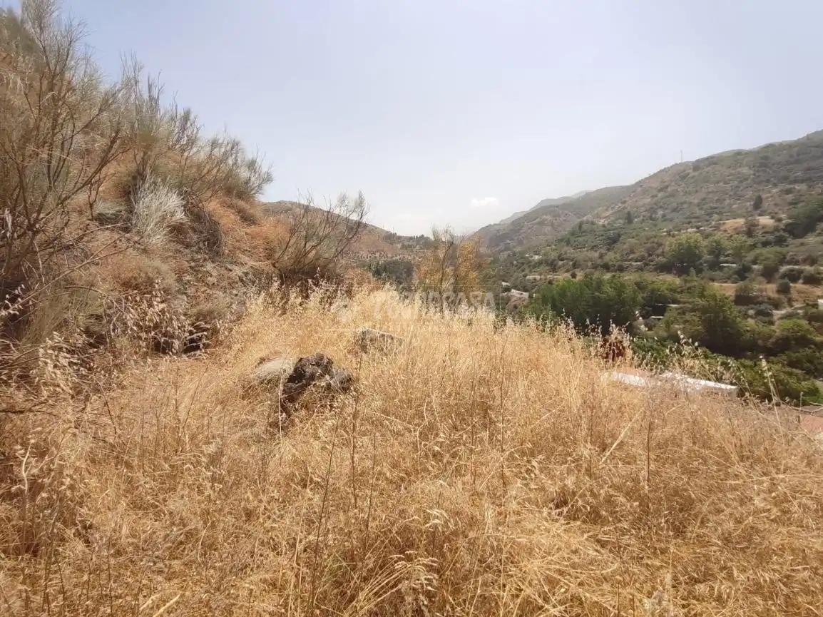 Rustikales Grundstück zum Verkauf in Pinos Genil, imagen 12