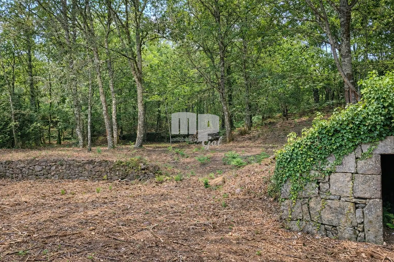 Casa rústica amb jardí en venda a Camiño da Bouza, imagen 14