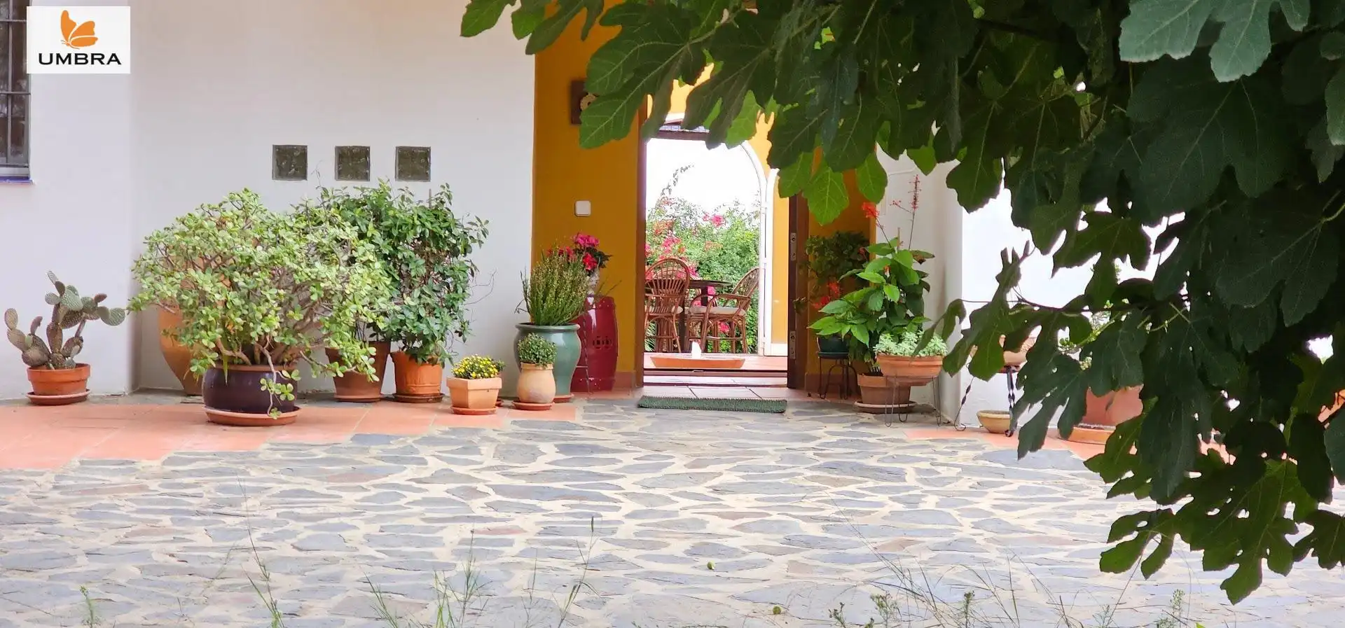 Houses for sale in Parque Atlántico - Ronda este