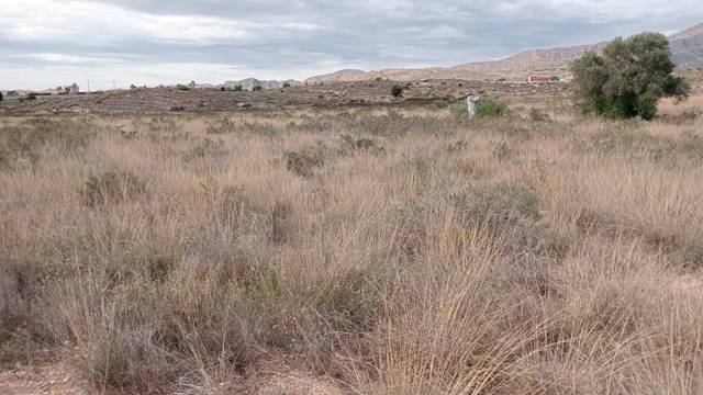 Terreno en Venta en Moralet