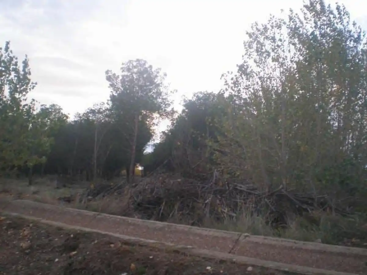 Terreno rustico in vendita a Pelabravo