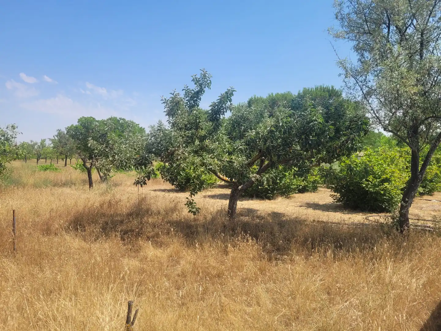 Casa o chalet en venta en Matapozuelos con Calefacción y Jardín privado