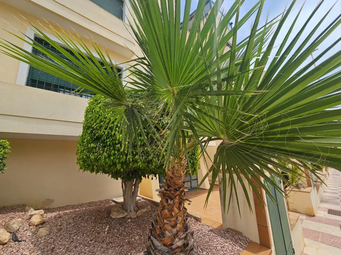 Jardín de Apartamento en venta en Orihuela con Aire acondicionado, Amueblado y Piscina comunitaria