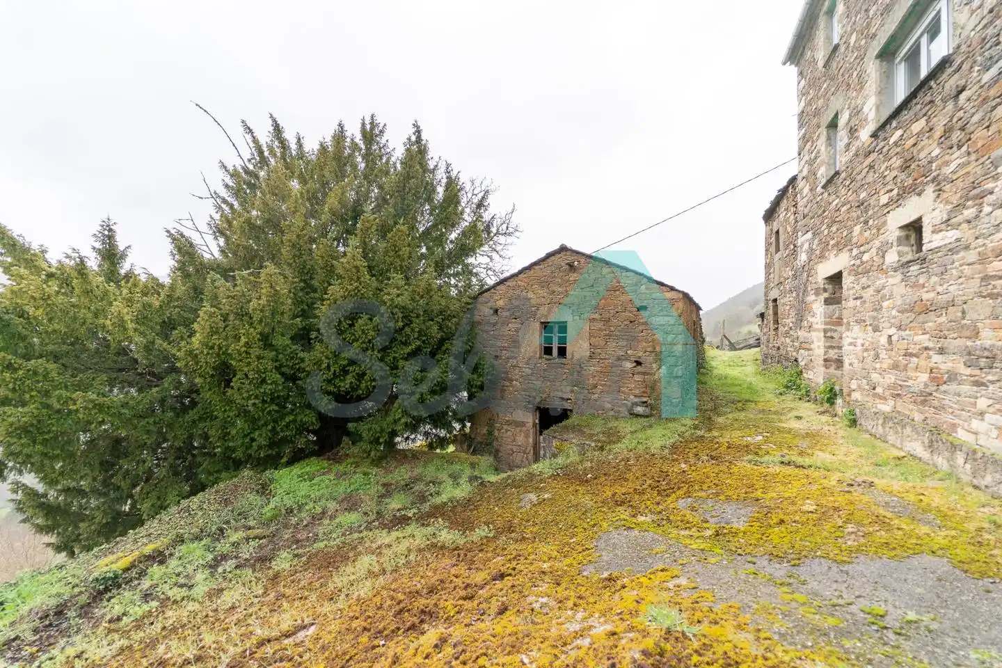 Vista exterior de Casa o chalet en venta en Illano con Calefacción, Jardín privado y Parquet