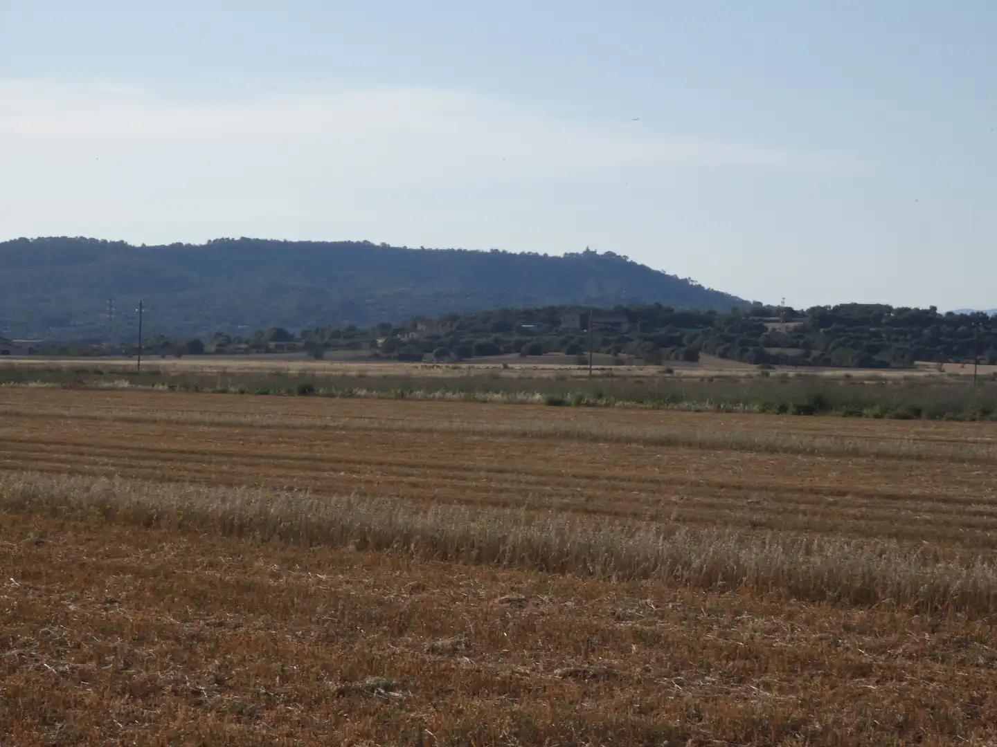 Terreno rustico in vendita a Vilafranca de Bonany, imagen 4