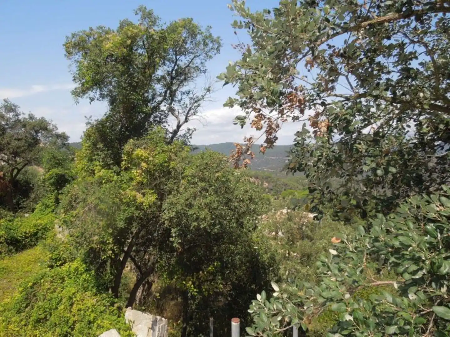 Residencial en venta en El Molí - El Rieral