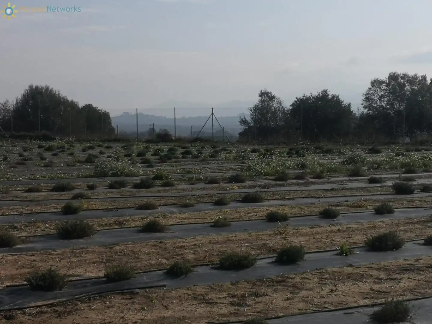 Finca rústica en venta en Benigànim con Jardín privado, Terraza y Trastero
