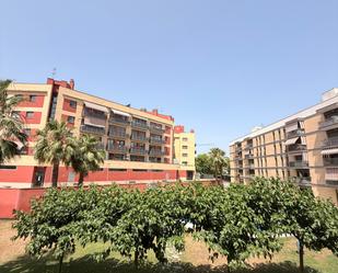 Pis de lloguer a Passeig de la Renaixença, Barceloneta -  Molí d'en Rovira
