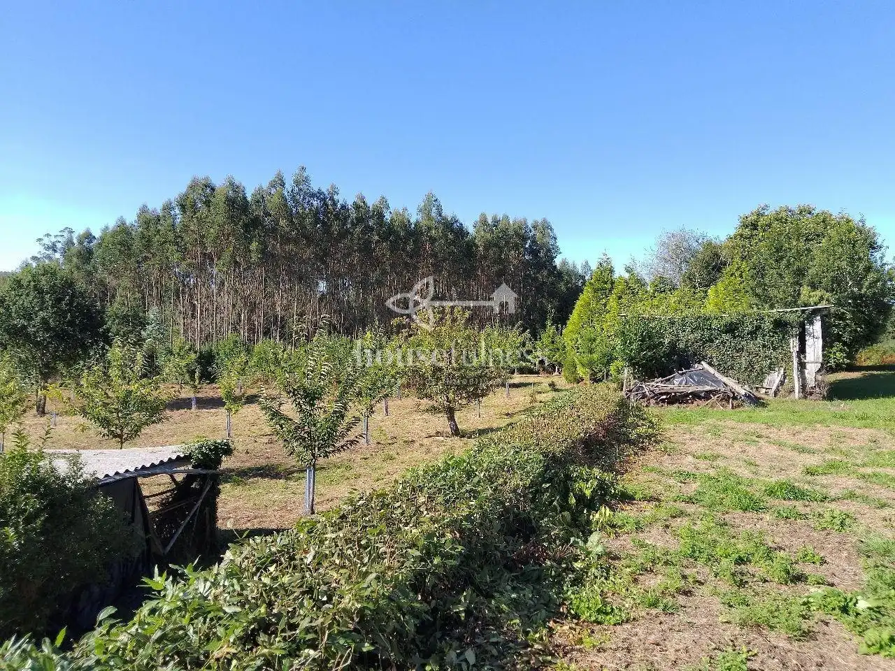 Haus mit Garten zum Verkauf in As Somozas, imagen 20
