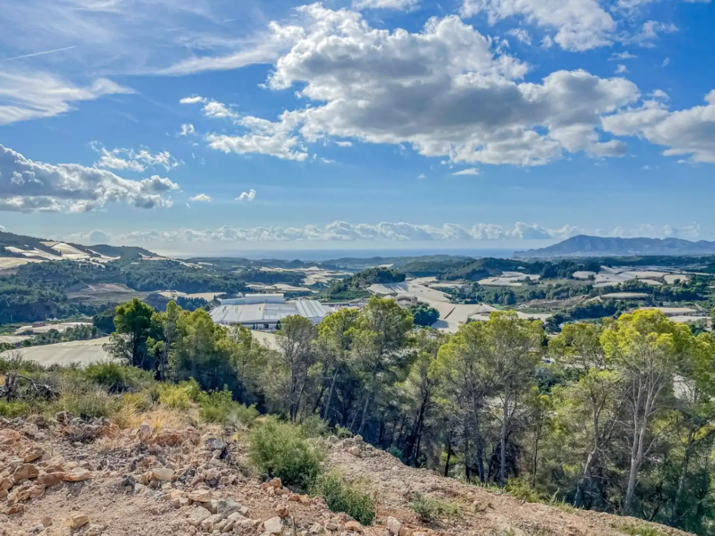 Xalet amb piscina en venda a Callosa d'en Sarrià, imagen 17