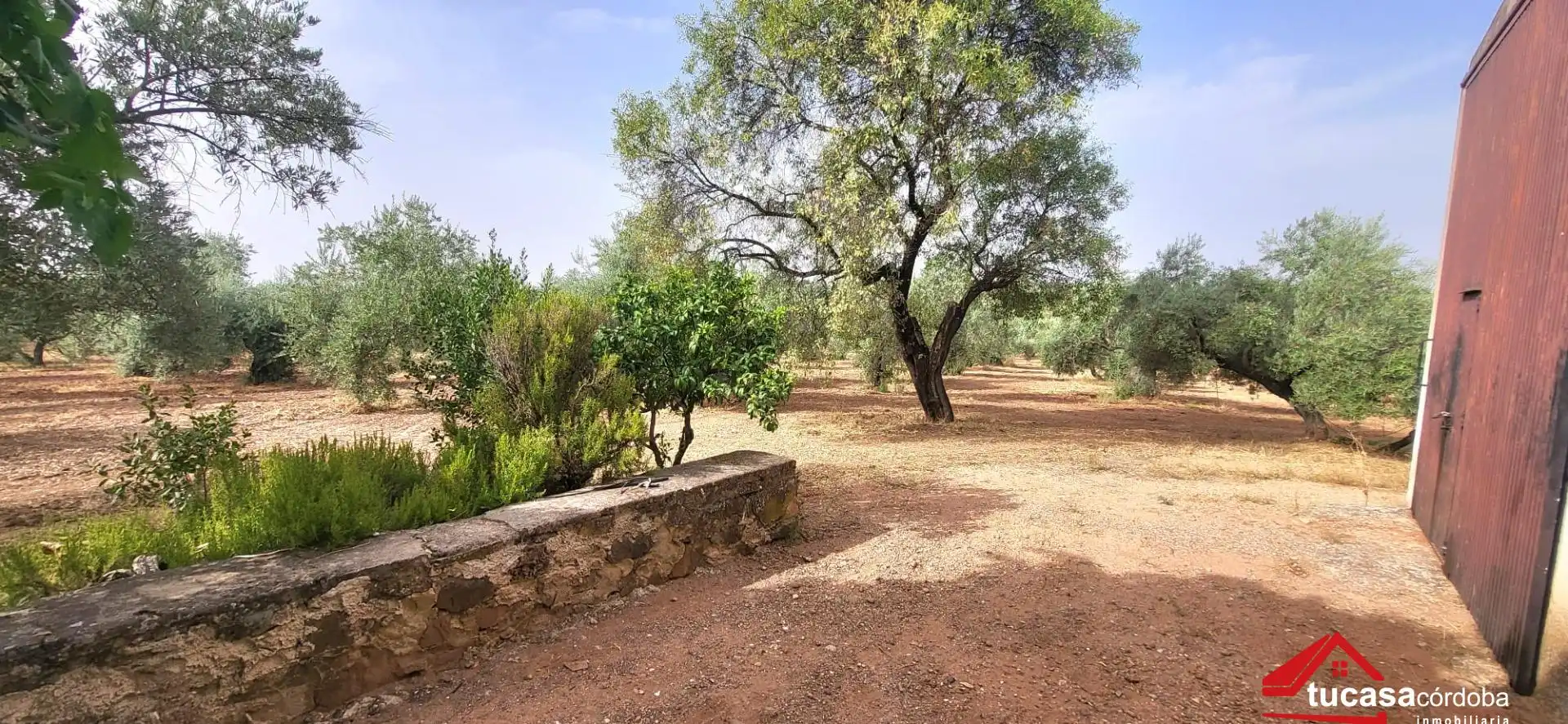 Grundstücke zum Verkauf in Montoro