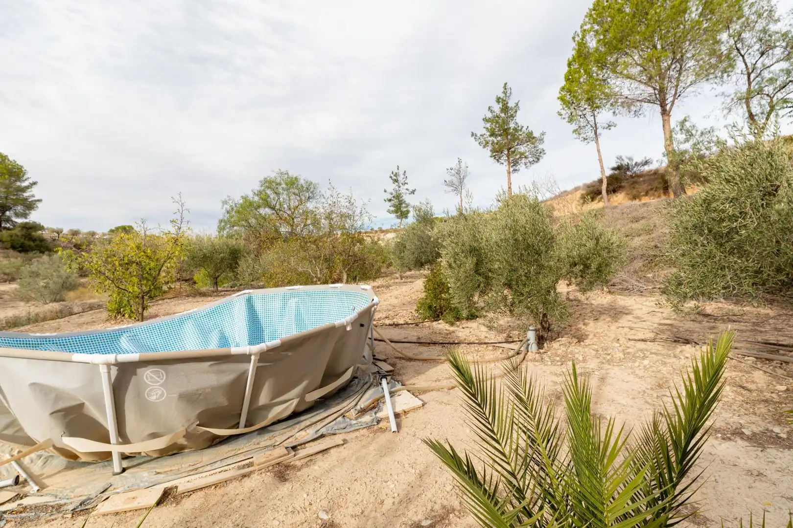 Piscina de Casa o chalet en venta en Ricote con Jardín privado, Terraza y Trastero