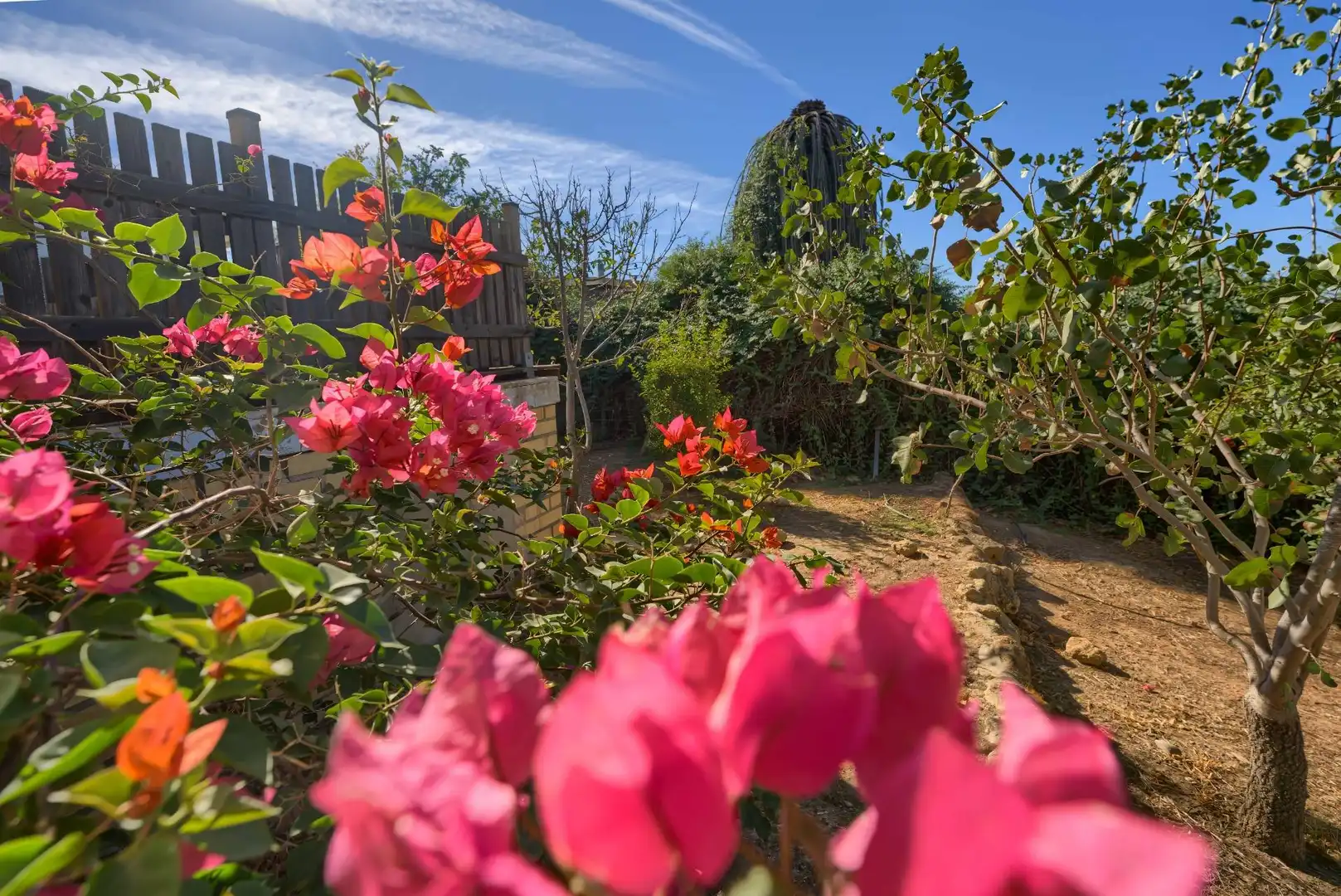 Jardín de Casa o chalet en venta en Sanlúcar la Mayor con Aire acondicionado, Jardín privado y Trastero