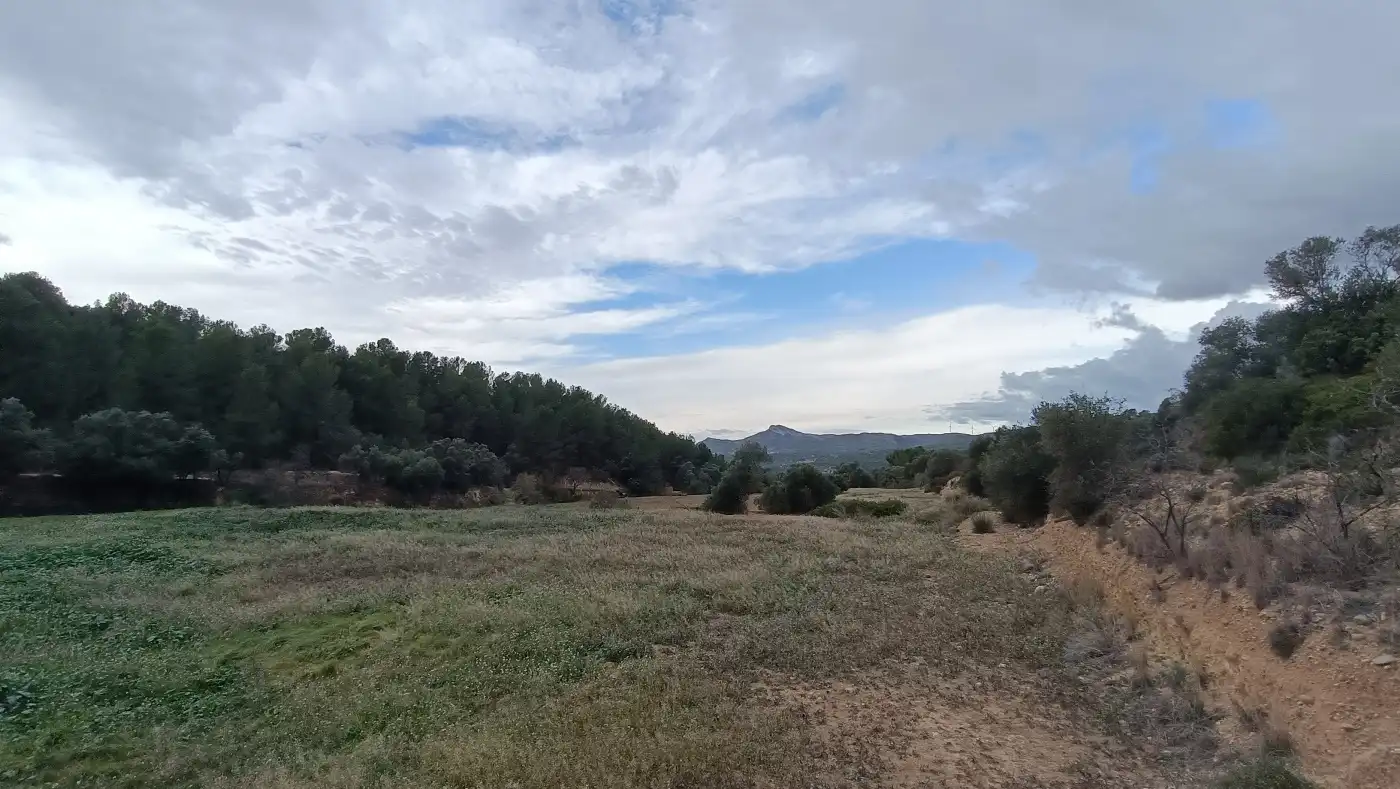 Terreno en venta en Móra la Nova