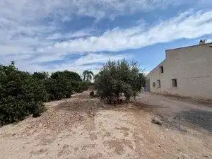 Houses for sale in Elche / Elx