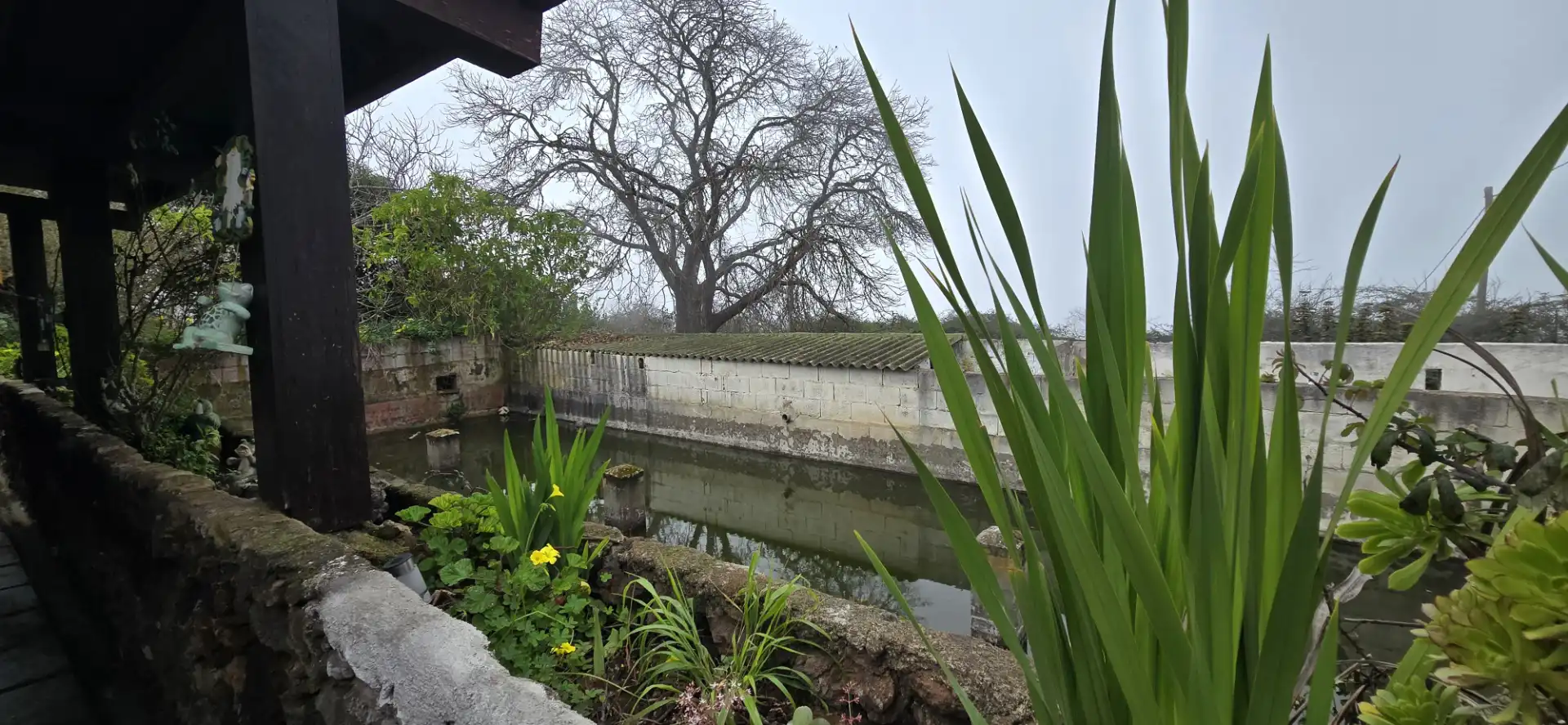 Casa rustica con giardino in vendita a Calle Vereda del Señor 117, imagen 4
