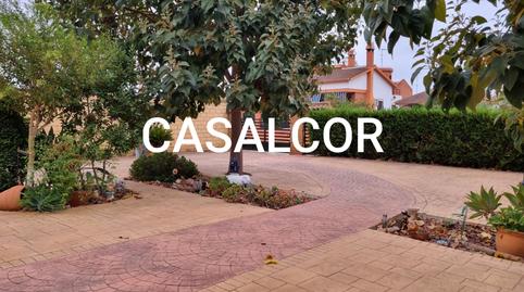 Photo 4 of House or chalet to rent in Mairena del Alcor, Sevilla