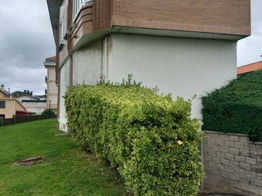 Business premises to rent in Barrio la Rotiza 50