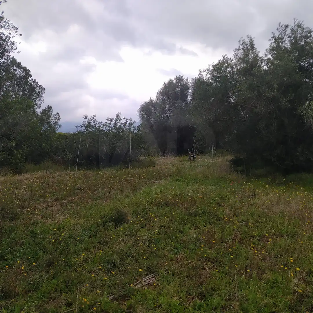 Terrain rustique à vendre à Tivenys, imagen 9