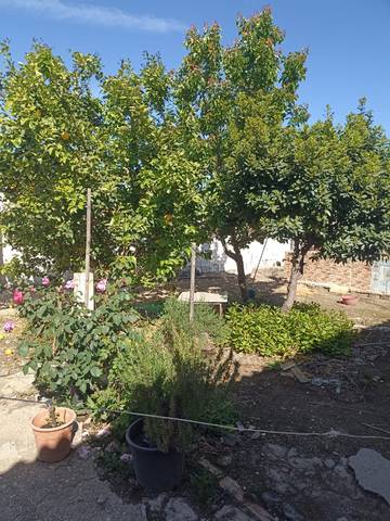 Casa-chalet en Venta en Guadalcázar