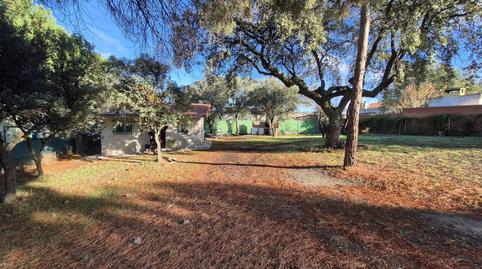 Foto 3 de Finca rústica en venta en Peñalba de Ávila, 17, Peñalba de Ávila, Ávila