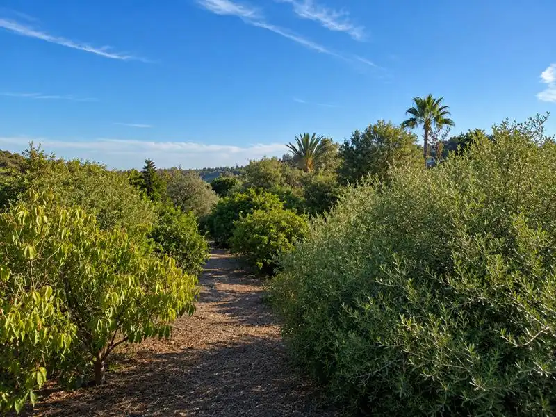 Garten von Grundstücke zum Verkauf in Estepona