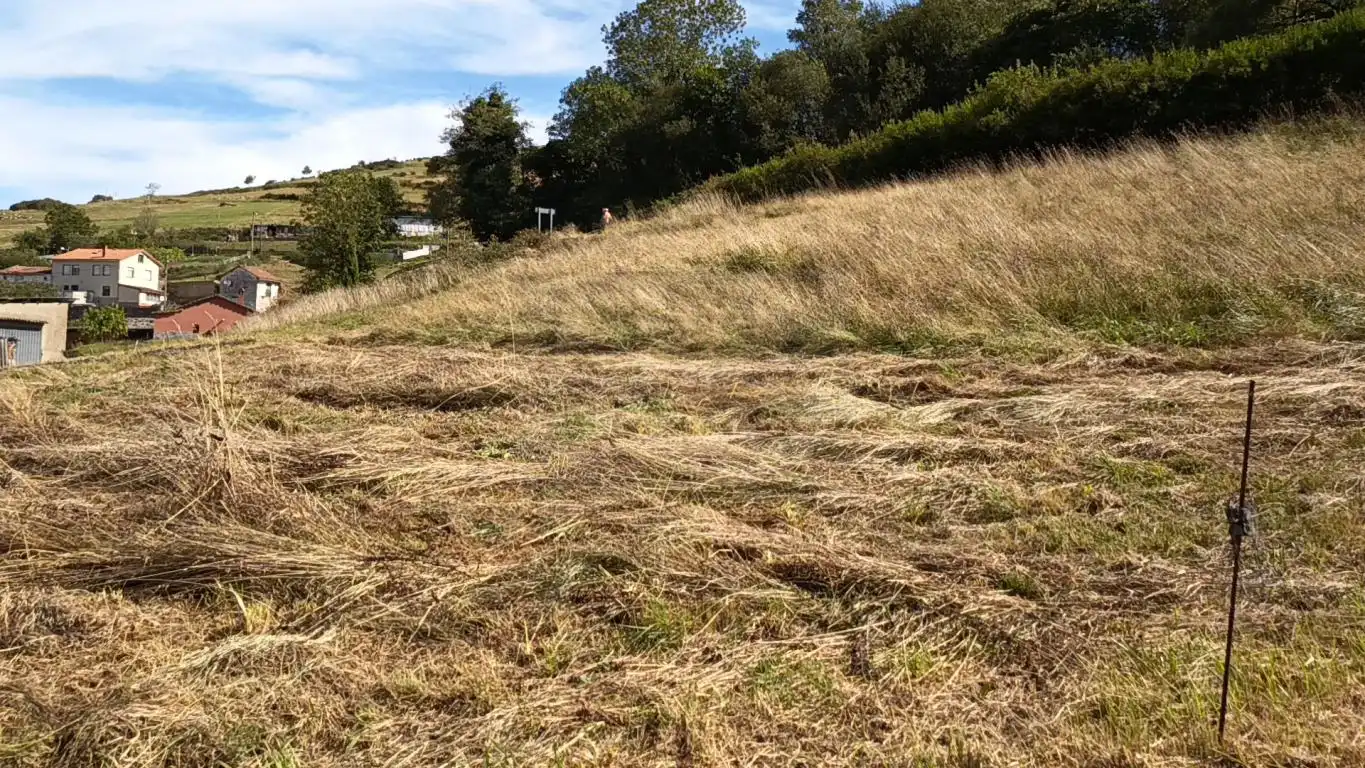 Grundstücke und Bauplätze zum Verkauf in Aldea Argañosa, imagen 8