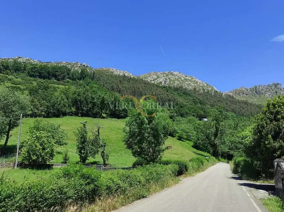 Terreno residencial en venta en Collía, imagen 7