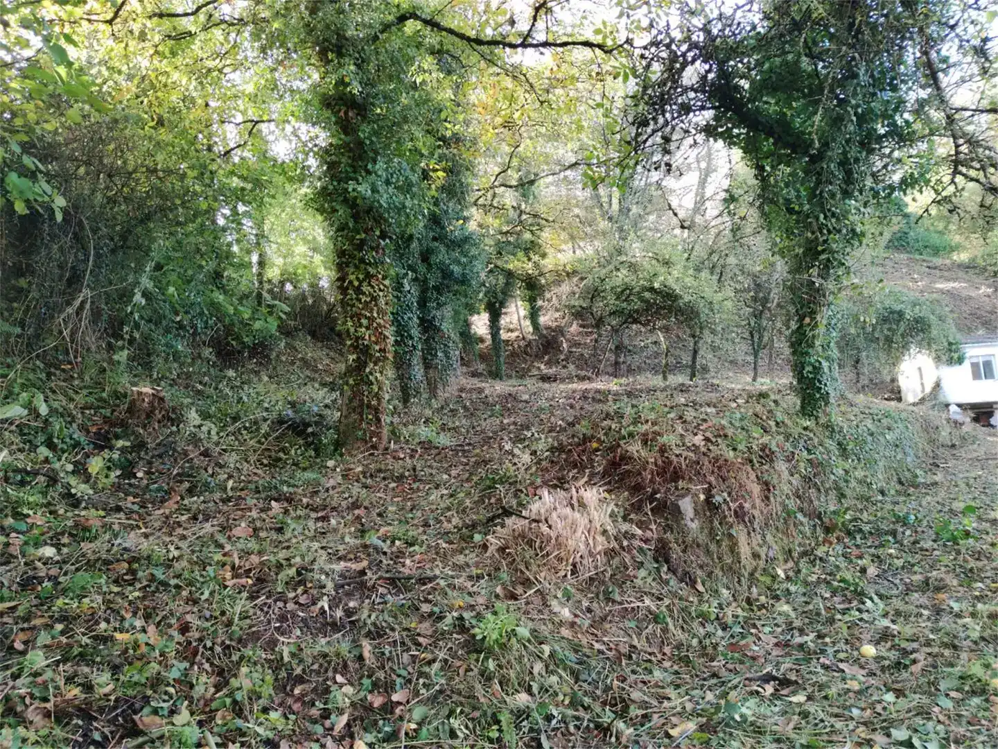 Casa o xalet en venda en Becerreá amb Jardí privat i Moblat