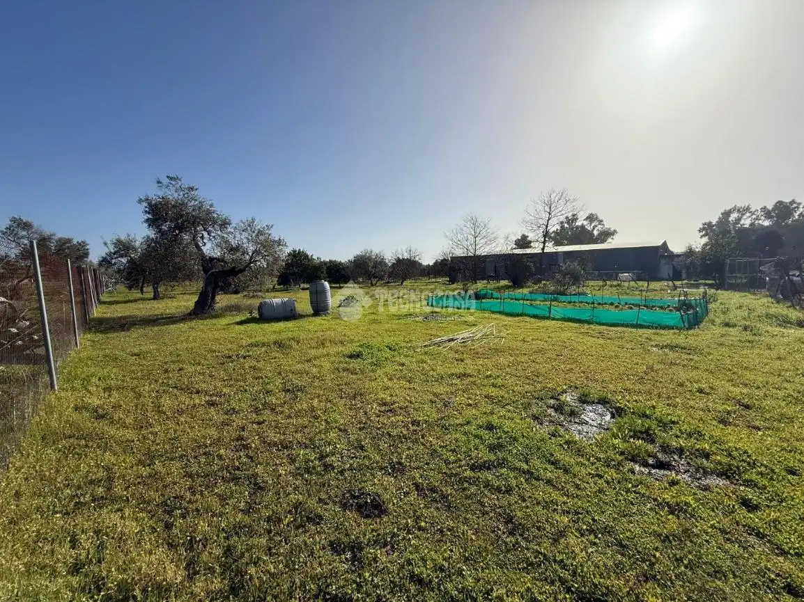 Terreno en venta en Arahal