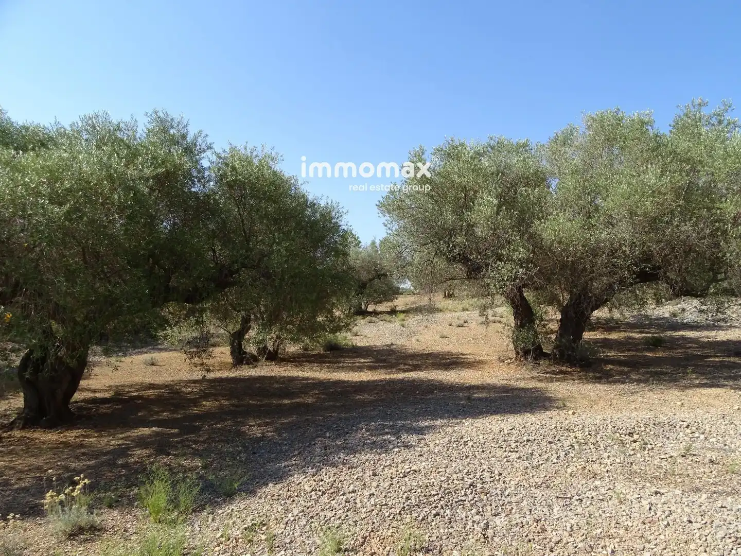 Terrain résidentiel à vendre à 13, imagen 12