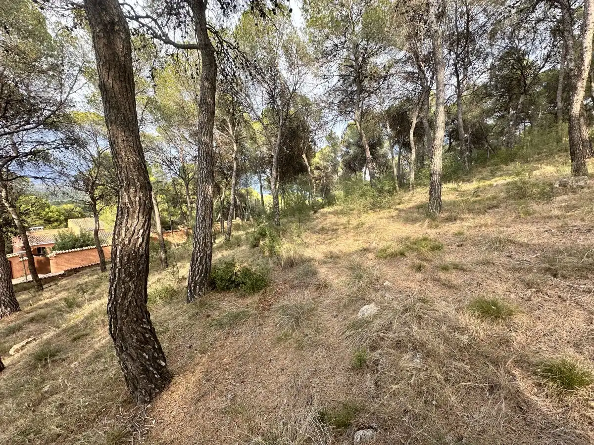 Wohnbaugrundstück zum Verkauf in Torres Torres, imagen 48