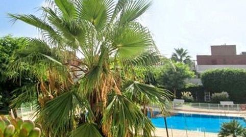 Foto 5 de Piso en venta en Playa de San Juan, Alicante / Alacant