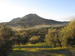 Terreno en Venta en Pruna