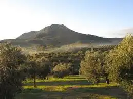 Terreno rustico in vendita a Pruna