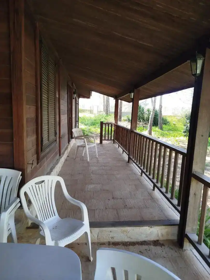 Terraza de Casa o chalet en venta en Alberic con Piscina y Balcón