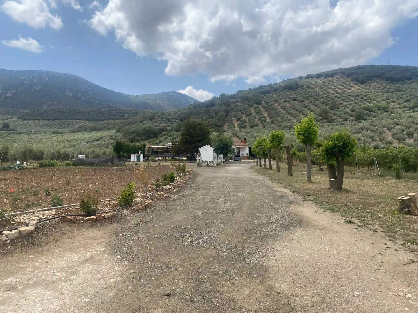 Casa rustica con piscina in vendita a Carretera Alcala km 12, imagen 20