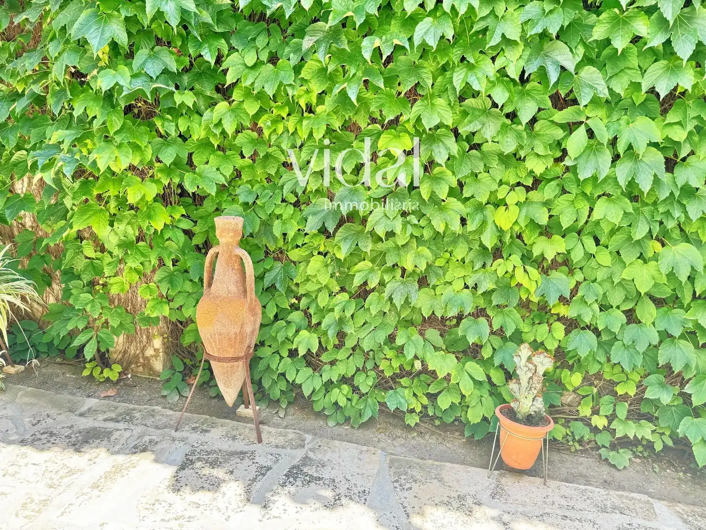 Casa o chalet en venta en Avinguda Catalunya