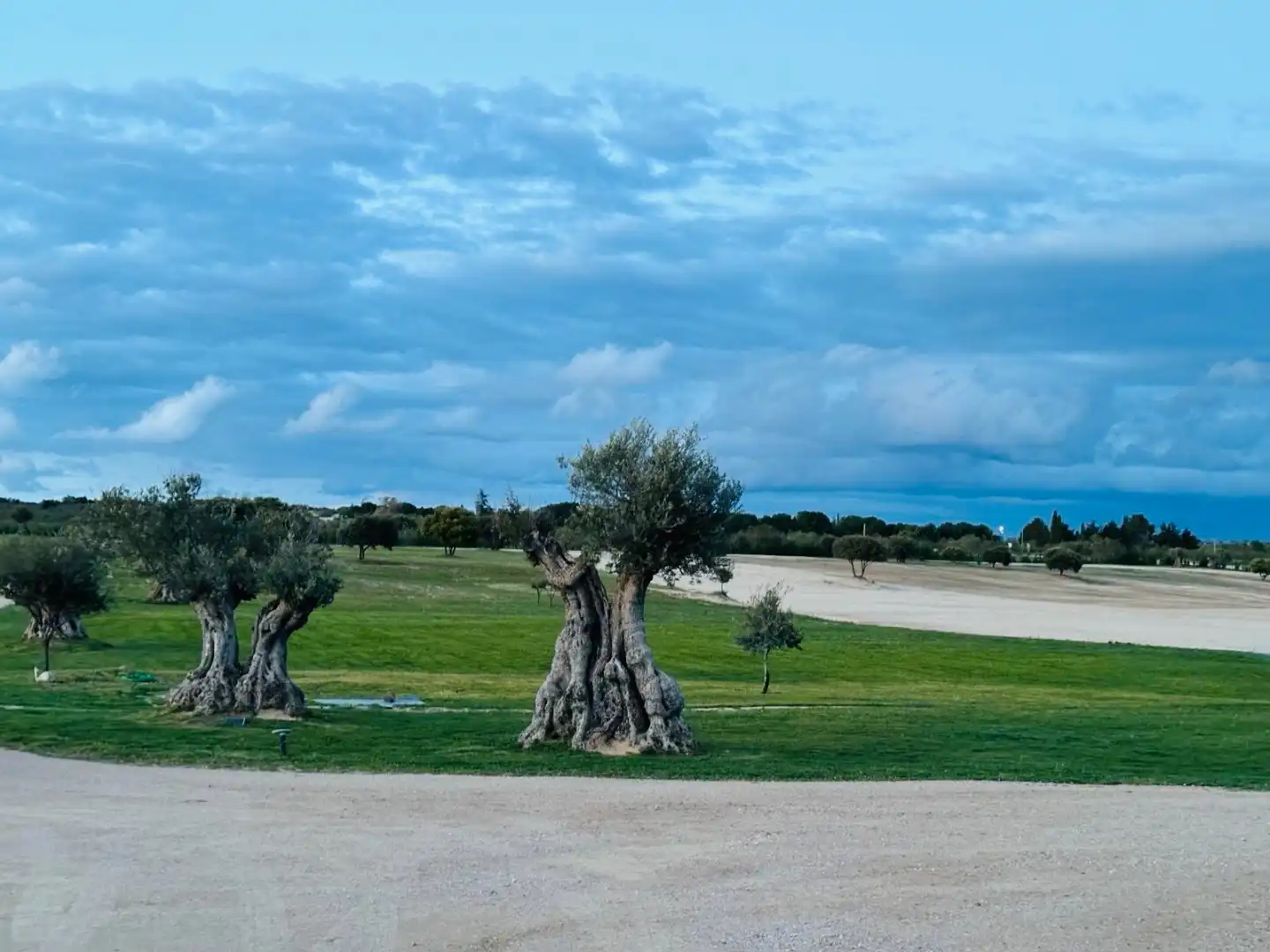 Terreno en venta en Madrid