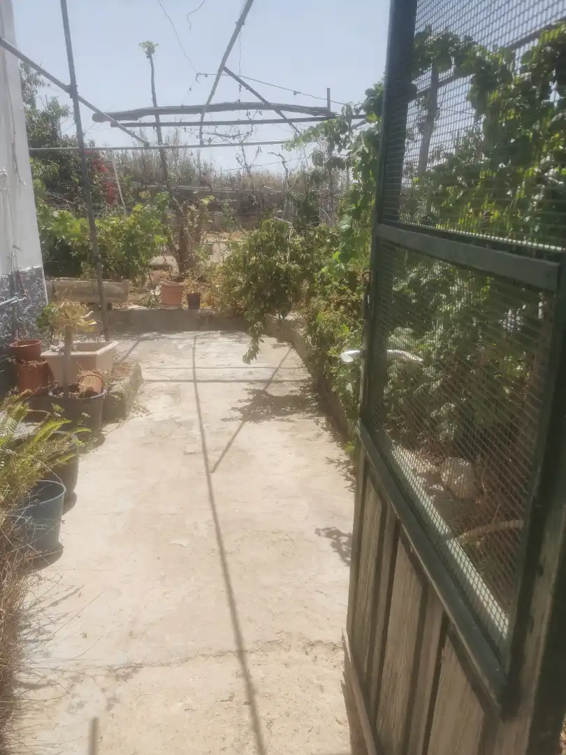Jardí de Terreny en venda en Fasnia
