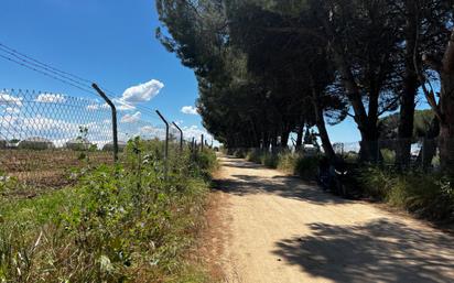 Finca rústica en venda en Los Palacios y Villafranca